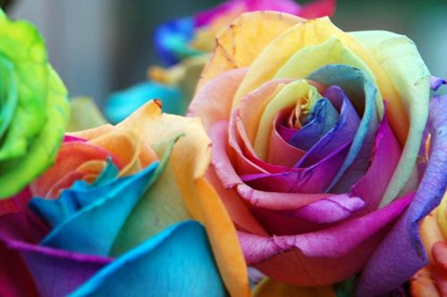 Fotografia de martapujol - Galeria Fotografica: Lugares Comunes - Foto: 