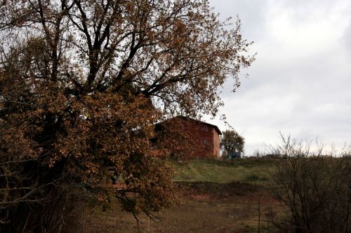 Fotografia de martapujol - Galeria Fotografica: Lugares Comunes - Foto: 