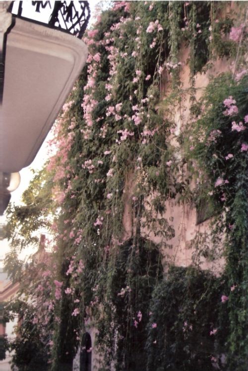 Fotografia de eamane - Galeria Fotografica: SITGES - Foto: 