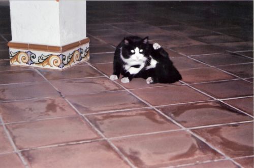 Fotografia de eamane - Galeria Fotografica: SITGES - Foto: 