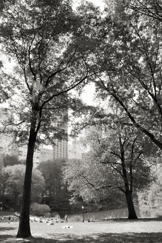 Fotografia de martapujol - Galeria Fotografica: Lugares Comunes - Foto: 