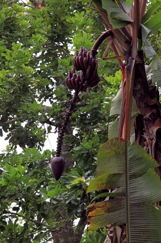 Fotografia de martapujol - Galeria Fotografica: Lugares Comunes - Foto: 