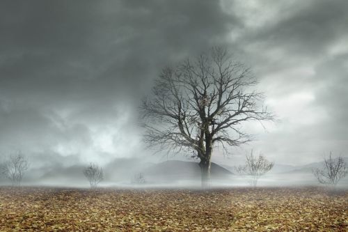 Fotografia de Vega - Galeria Fotografica: Ilustracin y retoque - Foto: 