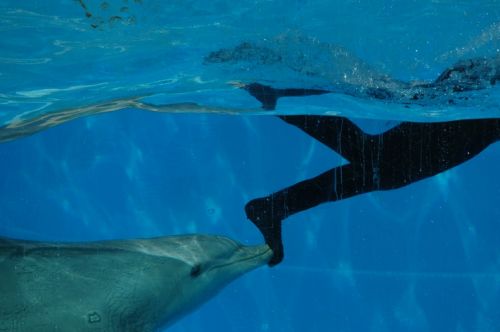 Fotografia de martapujol - Galeria Fotografica: Lugares Comunes - Foto: 