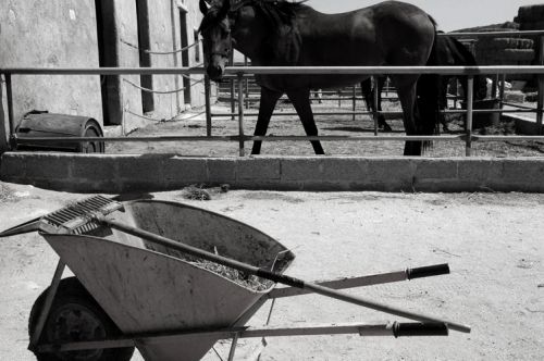 Fotografia de martapujol - Galeria Fotografica: Lugares Comunes - Foto: 