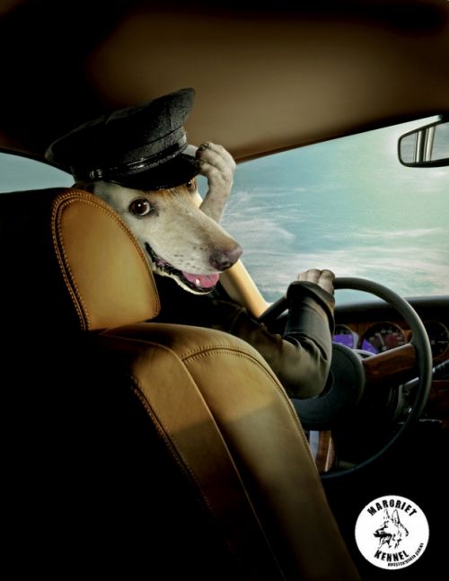 Fotografia de Vega - Galeria Fotografica: Ilustracin y retoque - Foto: 