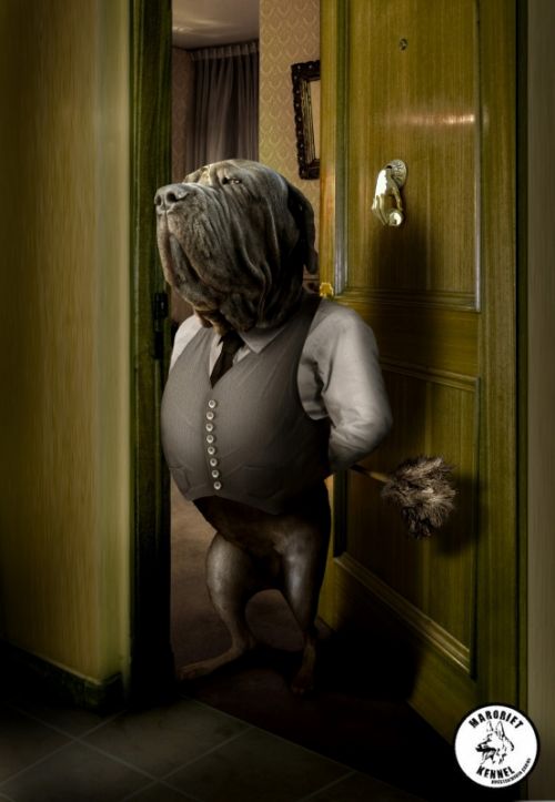 Fotografia de Vega - Galeria Fotografica: Ilustracin y retoque - Foto: 