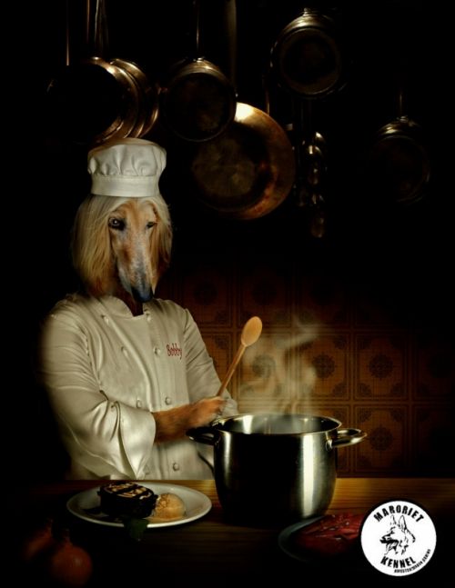 Fotografia de Vega - Galeria Fotografica: Ilustracin y retoque - Foto: 