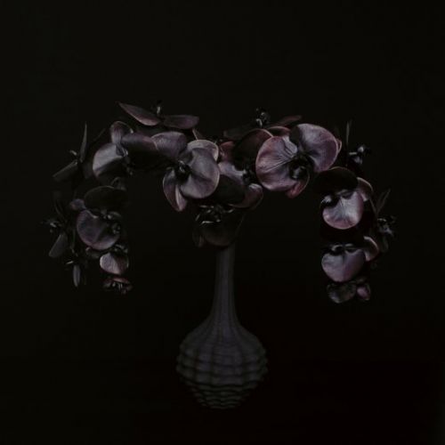 Fotografia de camara oscura galeria de arte - Galeria Fotografica: PEYROTAU & SEDILES 