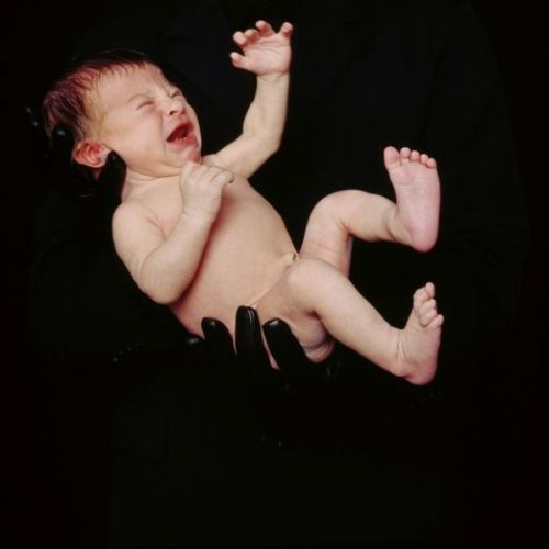 Fotografia de camara oscura galeria de arte - Galeria Fotografica: PEYROTAU & SEDILES 