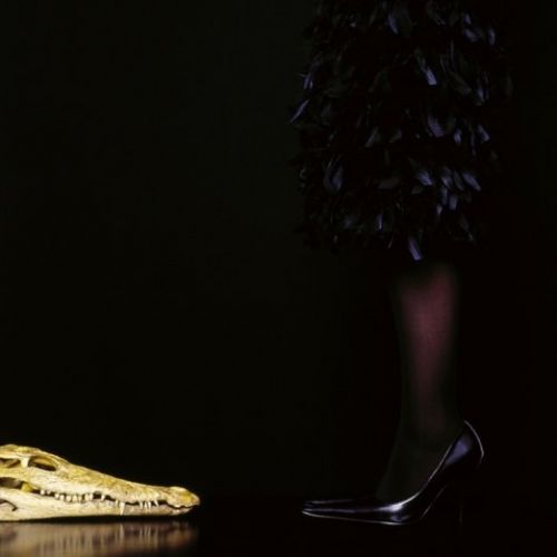 Fotografia de camara oscura galeria de arte - Galeria Fotografica: PEYROTAU & SEDILES 