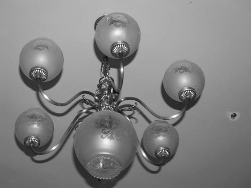 Fotografia de Horacio - Galeria Fotografica: Objetos - Foto: Ara�a