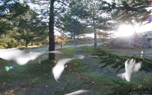 Fotografia de Horacio - Galeria Fotografica: Manipulaci�n digital - Foto: Mujer