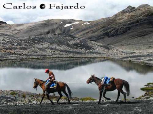 Fotografia de Carlos Fajardo Fotgrafo - Galeria Fotografica: Huaraz - Foto: Caballos