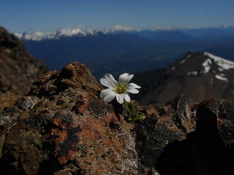 Fotografia de Javier Ierino - Galeria Fotografica: Fotografiando lo que sea - Foto: 