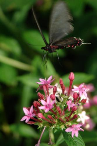Fotografia de Javier Ierino - Galeria Fotografica: Fotografiando lo que sea - Foto: 