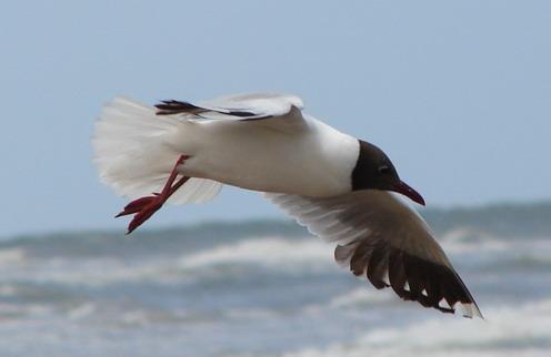 Fotografia de Javier Ierino - Galeria Fotografica: Fotografiando lo que sea - Foto: 