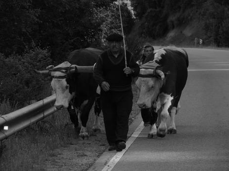 Fotografia de Javier Ierino - Galeria Fotografica: Gente de mis pagos - Foto: 