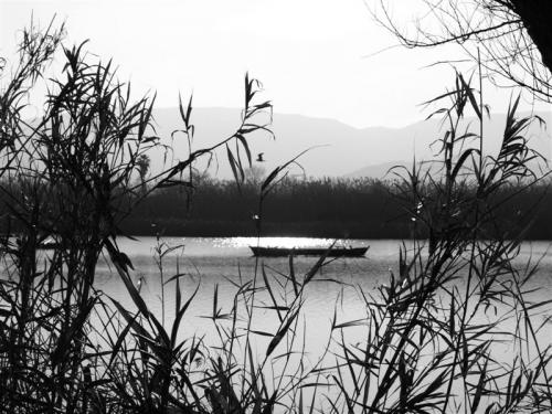 Fotografia de quiquekb - Galeria Fotografica: Estany de Cullera - Foto: 