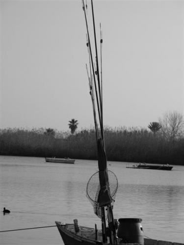 Fotografia de quiquekb - Galeria Fotografica: Estany de Cullera - Foto: 