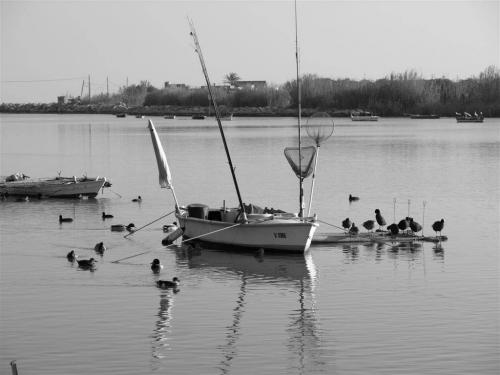 Fotografia de quiquekb - Galeria Fotografica: Estany de Cullera - Foto: 