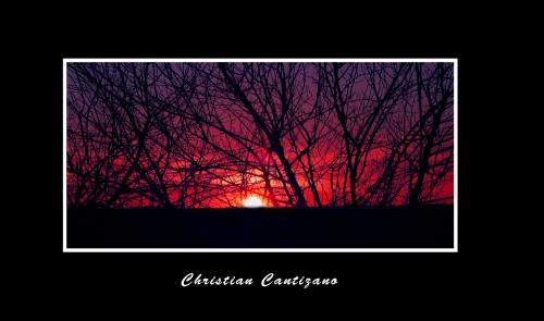 Fotografia de christian - Galeria Fotografica: ambicion al color - Foto: 								