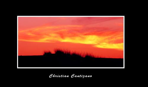 Fotografia de christian - Galeria Fotografica: ambicion al color - Foto: 								