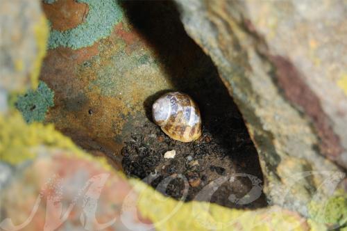 Fotografia de MOGA - Galeria Fotografica: En busca de consejos y cr�ticas. - Foto: 