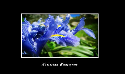 Fotografia de christian - Galeria Fotografica: ambicion al color - Foto: 								