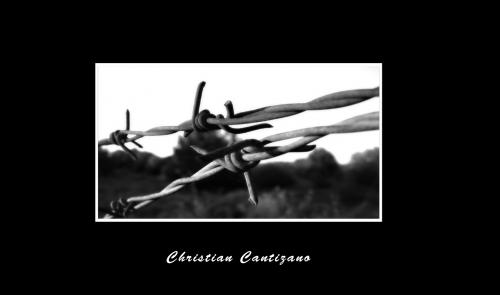 Fotografia de christian - Galeria Fotografica: ambicion al color - Foto: 								