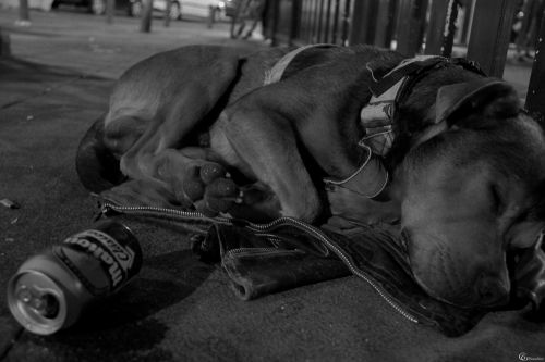 Fotografia de Gabriel Bianchini - Galeria Fotografica: Retrato social - Foto: 