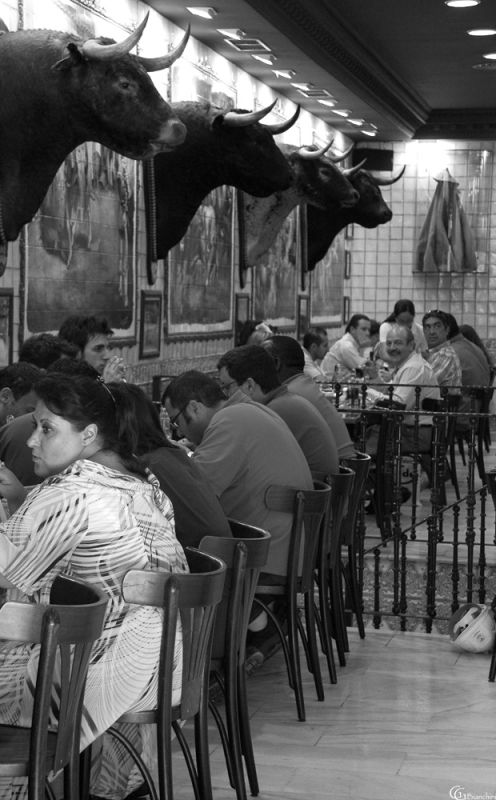 Fotografia de Gabriel Bianchini - Galeria Fotografica: Retrato social - Foto: 