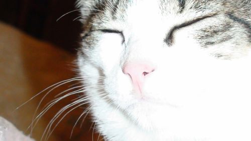 Fotografia de jluis - Galeria Fotografica: profunda - Foto: 