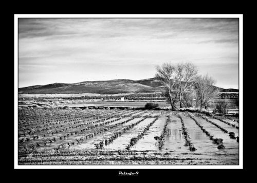 Fotografia de Cruz fotgrafo - Galeria Fotografica: PAISAJES - Foto: paisaje b y n 3