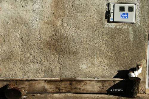 Fotografia de CAVADA - Galeria Fotografica: LO QUE MIRO - Foto: AL SOL