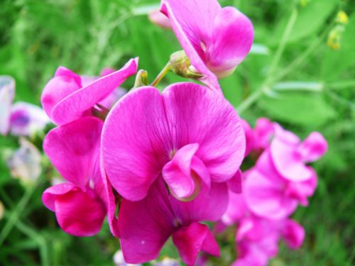 Fotografia de jordi mann - Galeria Fotografica: fotos - Foto: 