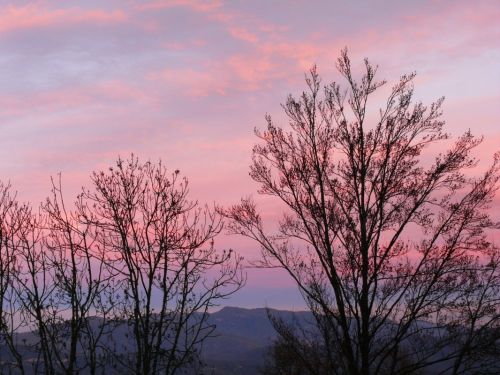 Fotografia de jordi mann - Galeria Fotografica: fotos - Foto: 