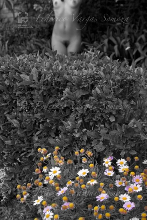 Fotografia de Federico Vargas Somoza - Galeria Fotografica: DESNUDO - Foto: 