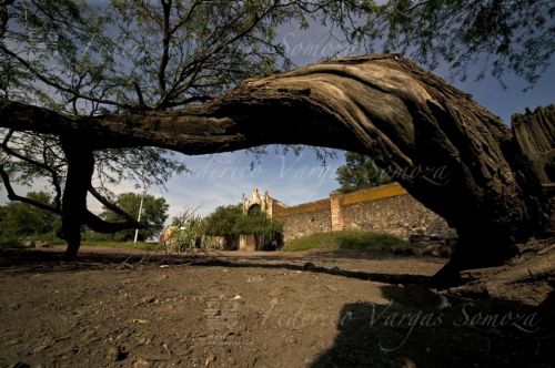 Fotografia de Federico Vargas Somoza - Galeria Fotografica: ARQUITECTURA - Foto: HACIENDA SAN JAVIER