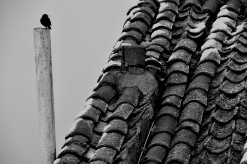 Fotografia de ALMA GAIA PRODUCCIONES, SL - Galeria Fotografica: Varios Arte - Foto: 