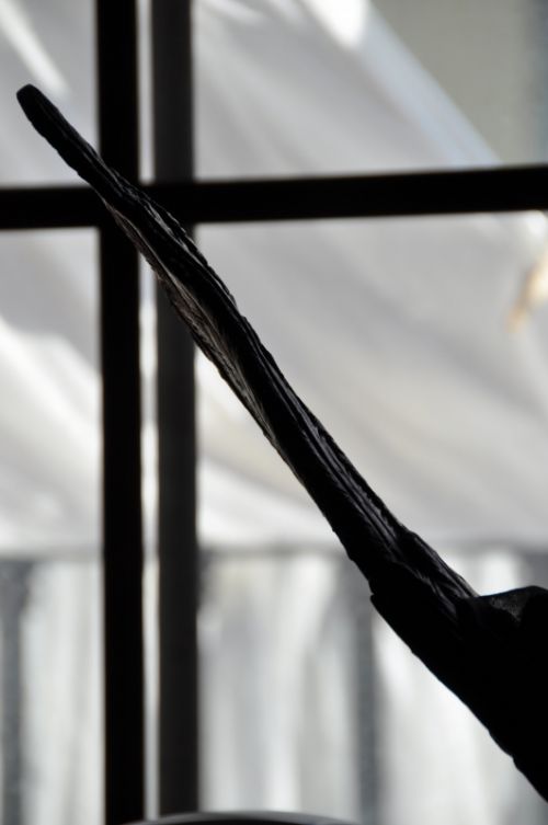 Fotografia de ALMA GAIA PRODUCCIONES, SL - Galeria Fotografica: Varios Arte - Foto: 