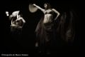 Fotos de Bianca Studio -  Foto: Danza rabe - Conjunto Danza rabe