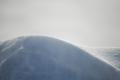 Foto de  paloma miranda - Galería: nieve - Fotografía: duna helada