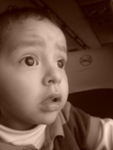 Fotografia de angel el pollo hernandez - Galeria Fotografica: el mundo y yo - Foto: bola ocho