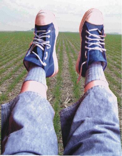 Fotografia de wigberto - Galeria Fotografica: Digital PC - Foto: Columpio