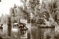 Fotos de Paulina Gutierrez -  Foto: Naturaleza B/W - Xochimilco en Sepia