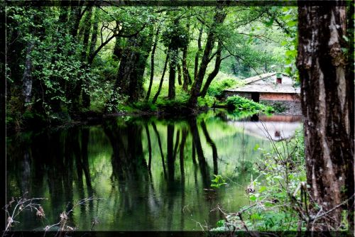 Fotografia de Juan Carlos Lpez - Galeria Fotografica: Aos 2009-2010 - Foto: 