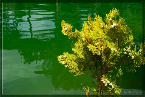 Fotografia de Juan Carlos Lpez - Galeria Fotografica: Ao 2011 - Foto: 