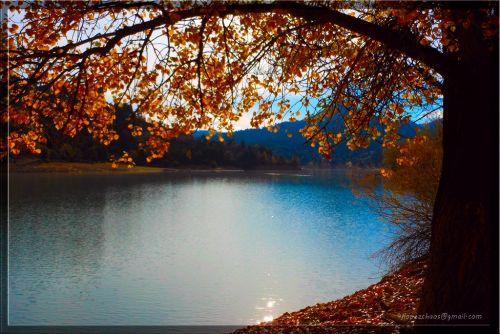 Fotografia de Juan Carlos Lpez - Galeria Fotografica: Ao 2011 - Foto: 