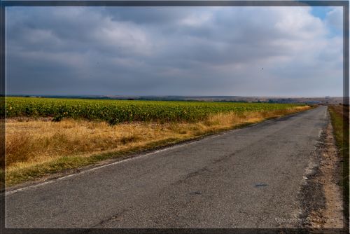 Fotografia de Juan Carlos Lpez - Galeria Fotografica: Ao 2011 - Foto: 